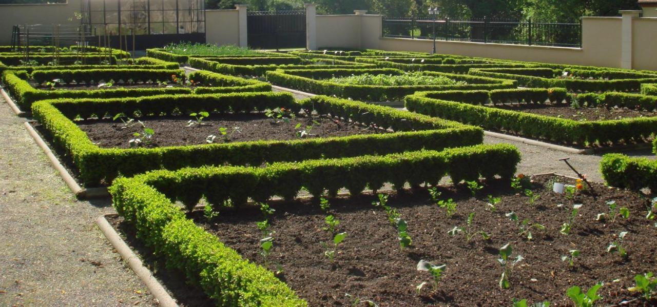 Hotel Domaine De L'Orangerie Bonnat Екстер'єр фото